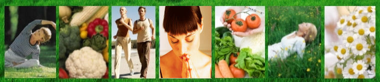 2Healthy_natural_holistic_health